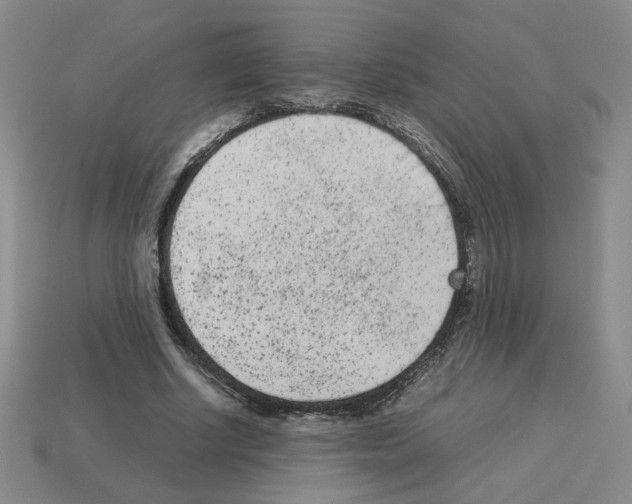 X0000112850634200910021252