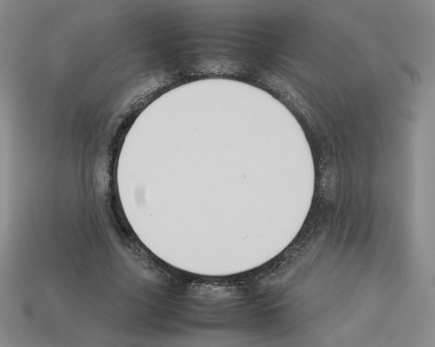 X0000112850635200910021252