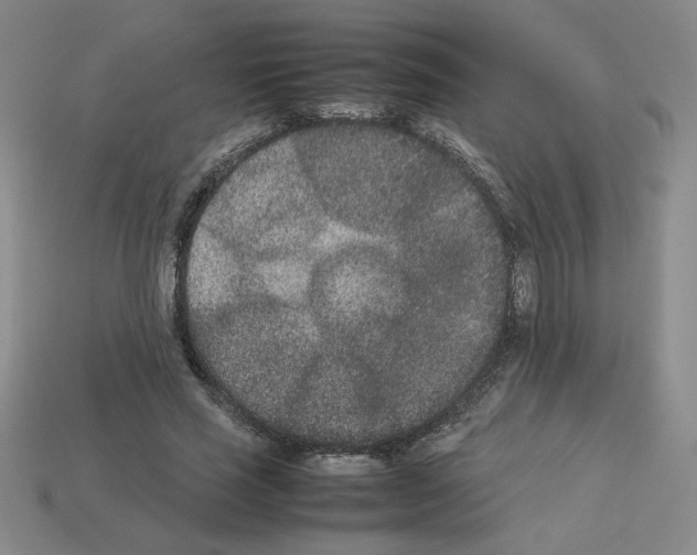 X0000112850637200910021252