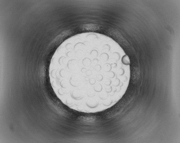 X0000112850639200910021252