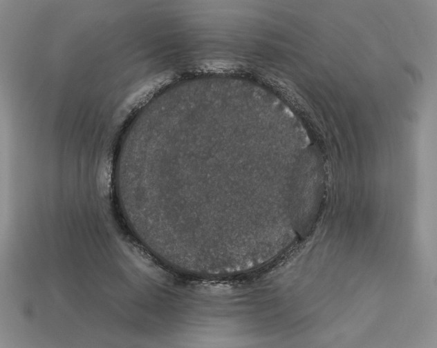 X0000112850640200910021252