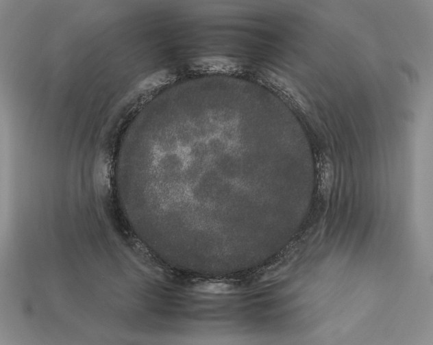 X0000112850643200910021252