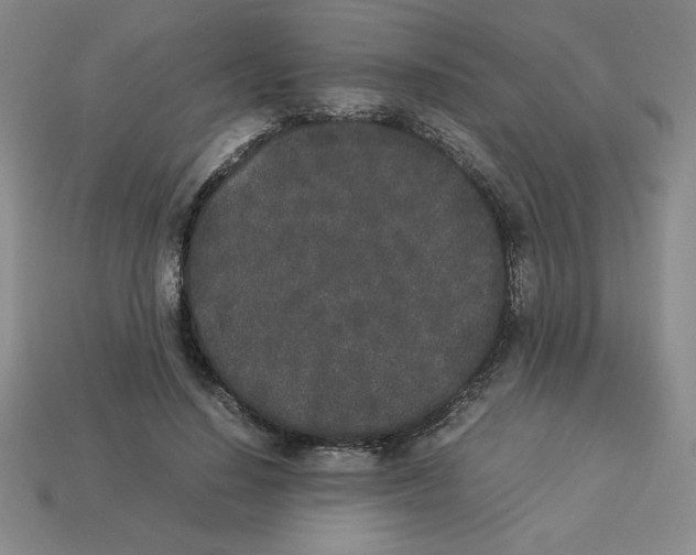 X0000112850644200910021252