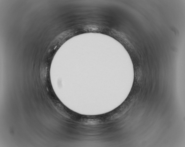 X0000112850645200910021252