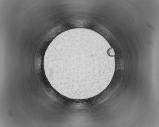 X0000112850646200910021252