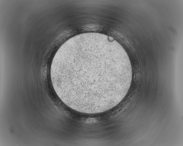 X0000112850647200910021252