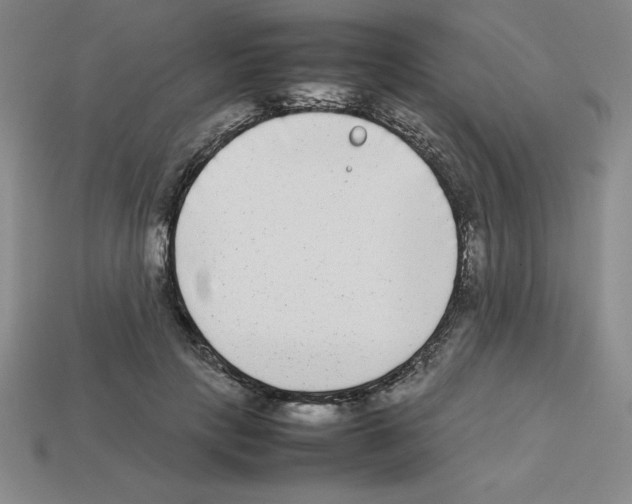 X0000112850649200910021252