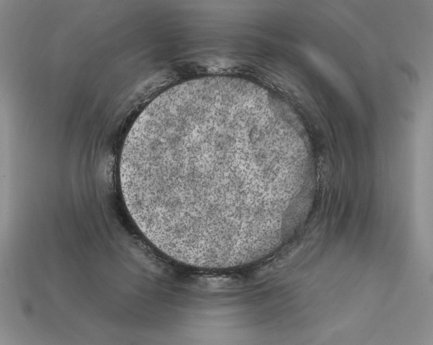 X0000112850650200910021252