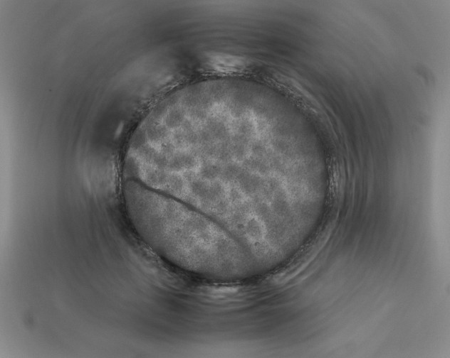 X0000112850651200910021252