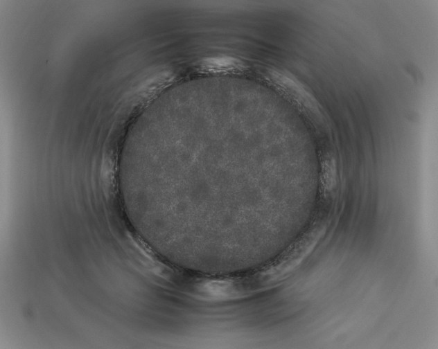 X0000112850653200910021252