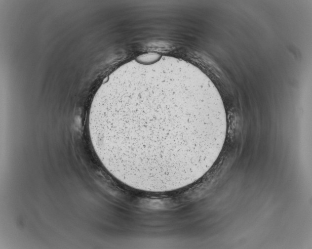 X0000112850655200910021252