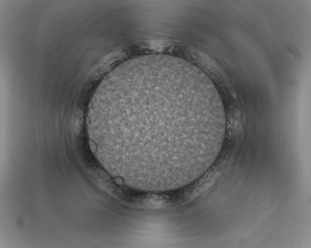 X0000112850656200910021252