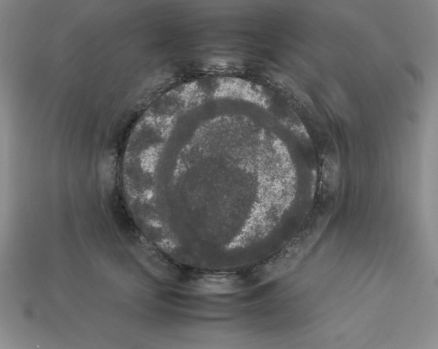 X0000112850659200910021252