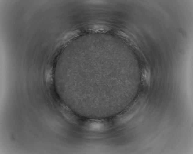 X0000112850663200910021252