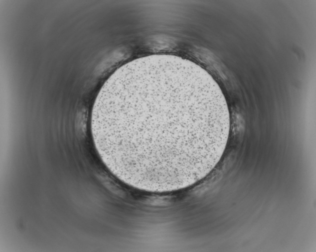 X0000112850664200910021252