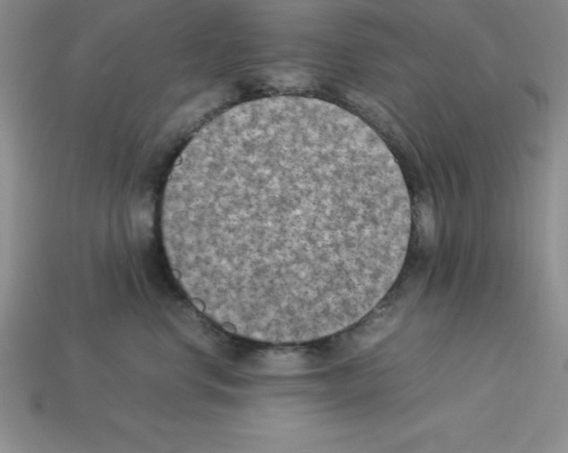 X0000112850668200910021252