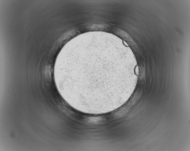 X0000112850669200910021252