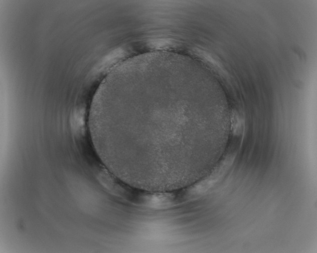 X0000112850670200910021252