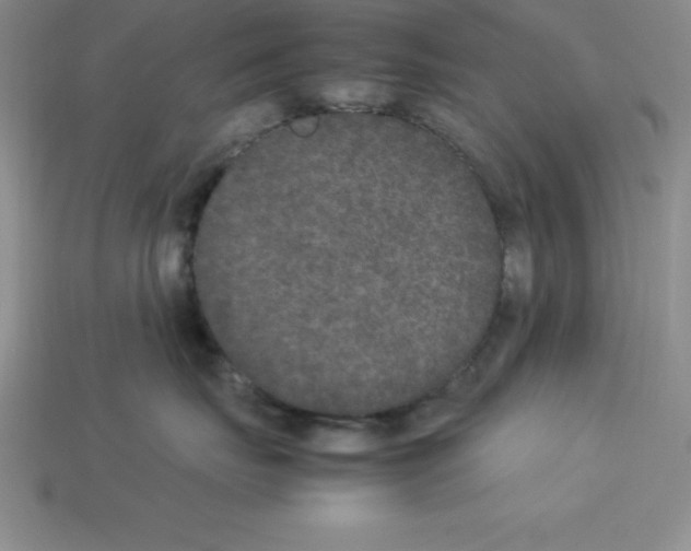 X0000112850671200910021252