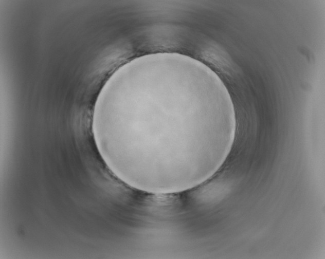 X0000112850672200910021252