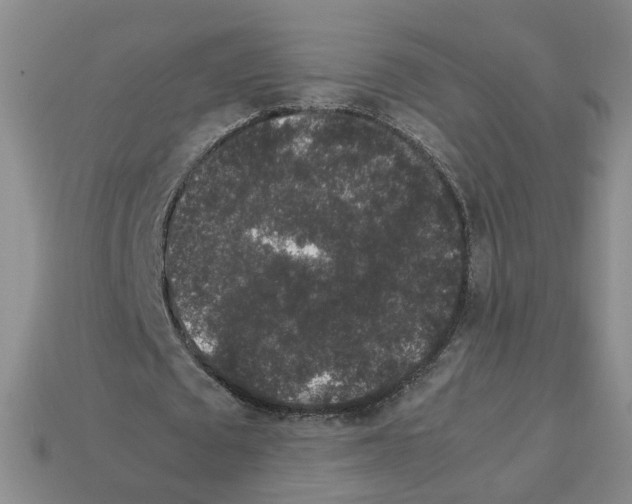 X0000112850673200910021252