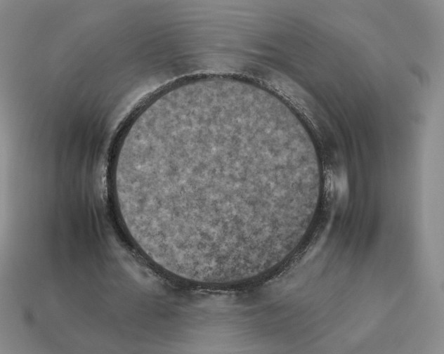 X0000112850676200910021252