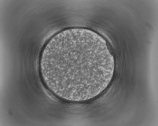 X0000112850677200910021252