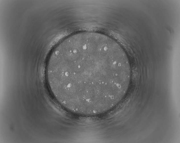 X0000112850679200910021252