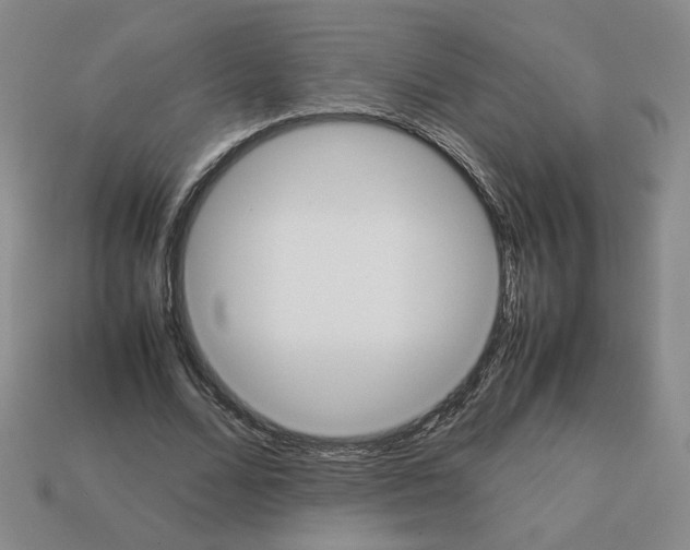 X0000112850680200910021252