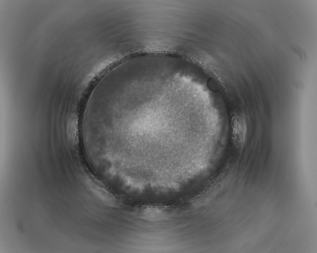 X0000112850684200910021252