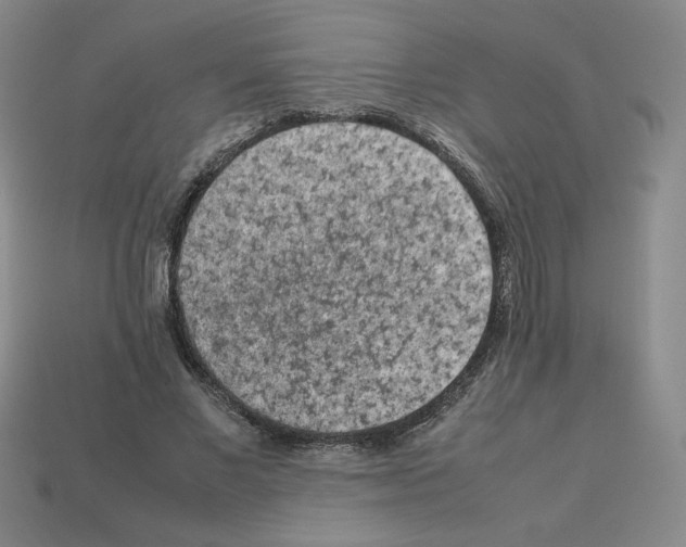 X0000112850685200910021252