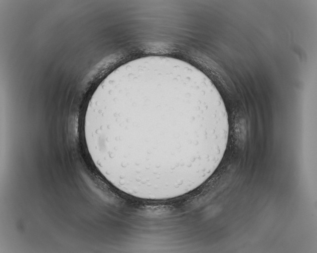 X0000112850686200910021252