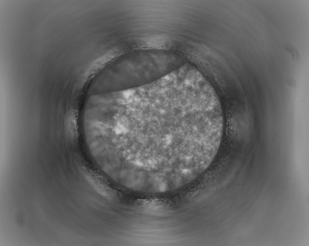 X0000112850688200910021251