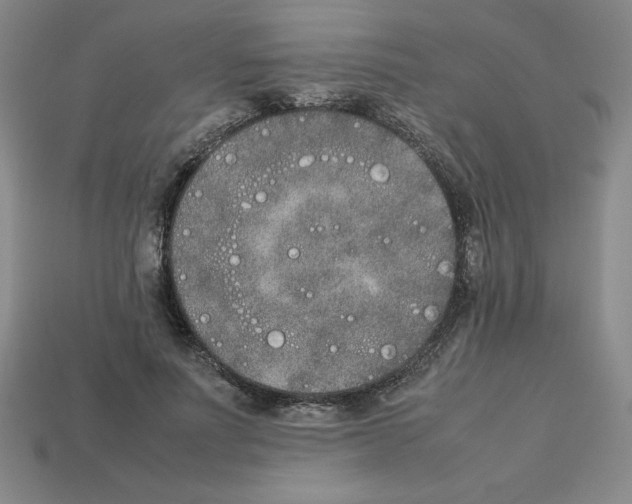 X0000112850691200910021251