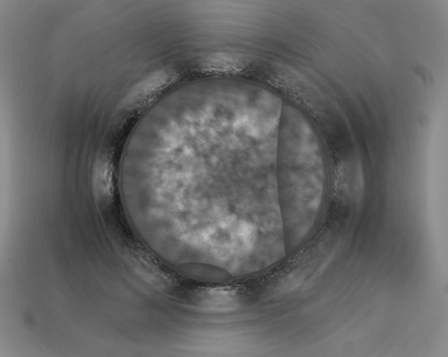 X0000112850692200910021251