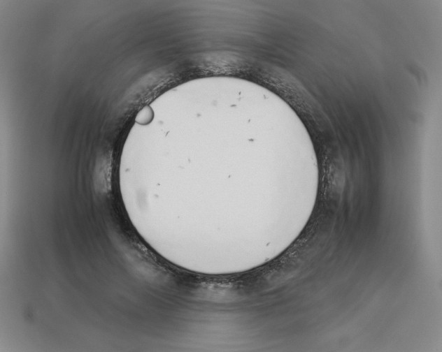 X0000112850694200910021251