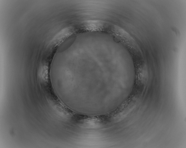 X0000112850696200910021251