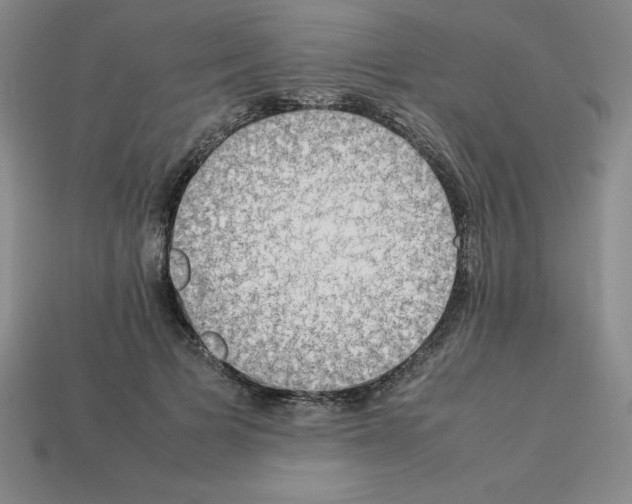 X0000112850697200910021251