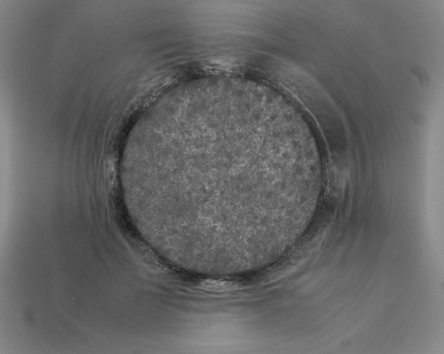 X0000112850699200910021251