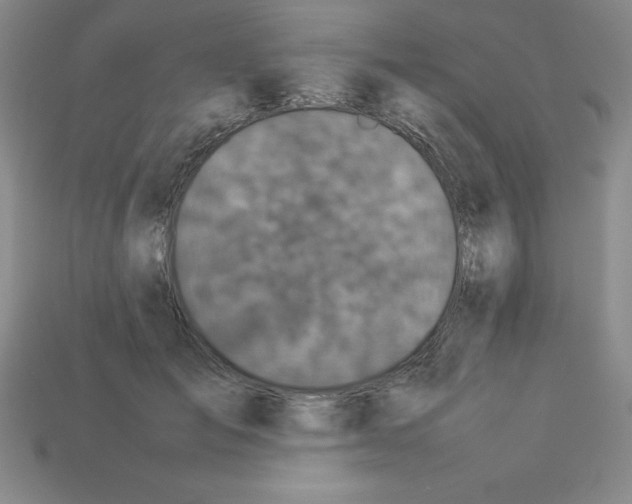 X0000112850701200910021251