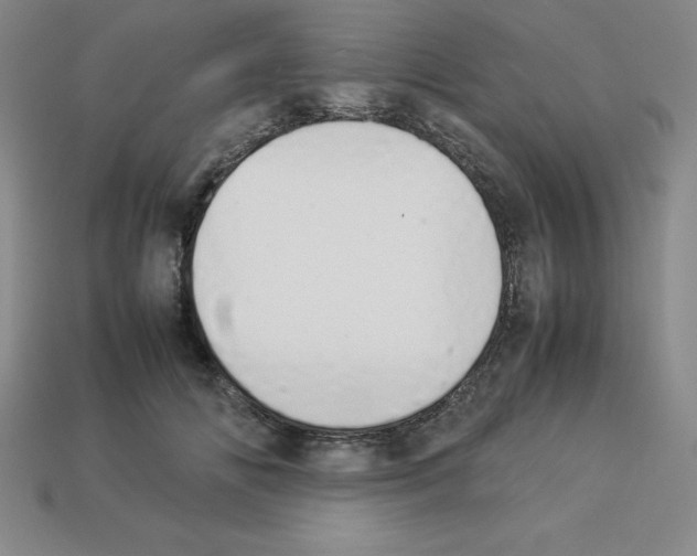 X0000112850702200910021251