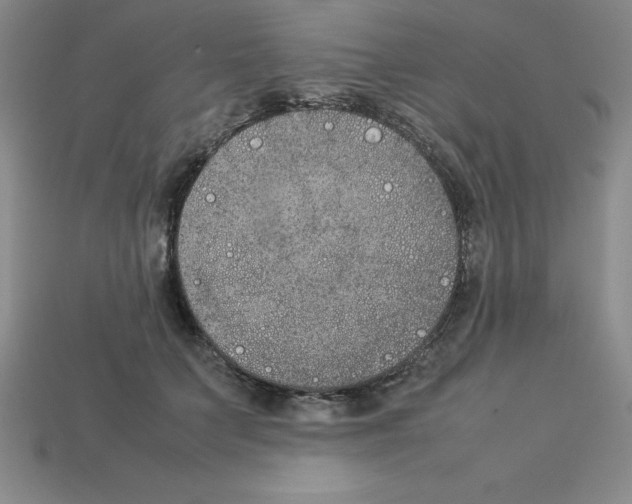 X0000112850703200910021251