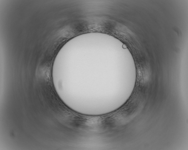 X0000112850705200910021251