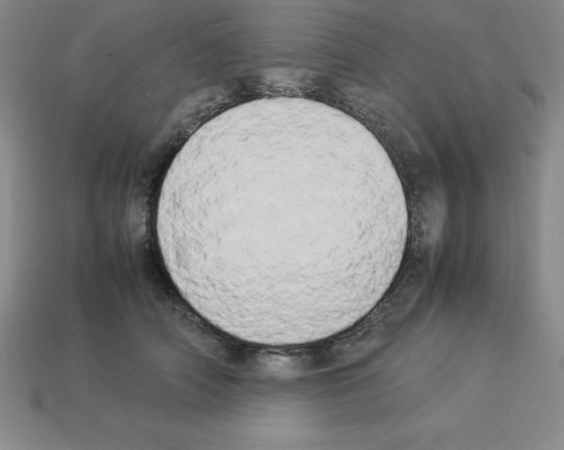 X0000112850706200910021251