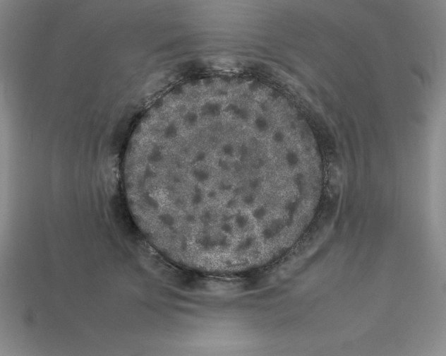 X0000112850707200910021251