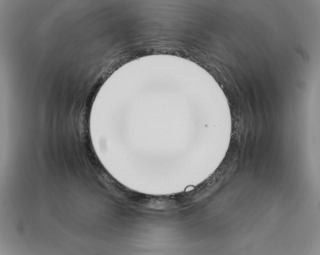 X0000112850708200910021251