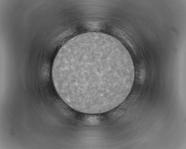 X0000112850710200910021251