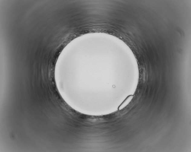 X0000112850712200910021251