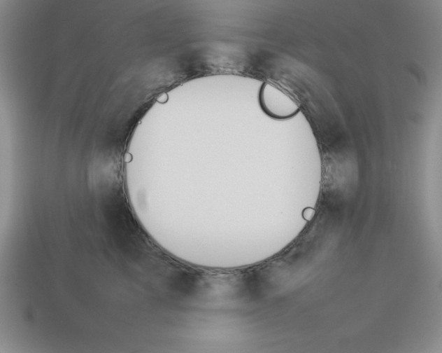 X0000112850713200910021251