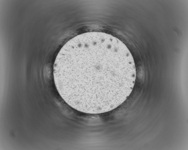 X0000112850715200910021251